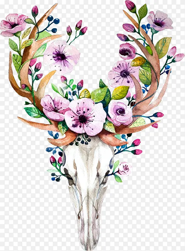 鹿 头骨 水彩画