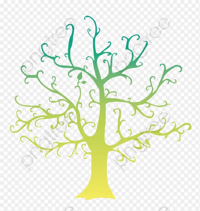 家谱 系谱 树