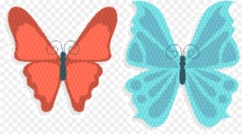 绿松石色 蝴蝶 飞蛾和蝴蝶