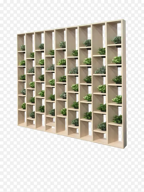书架 绿色墙壁 家具