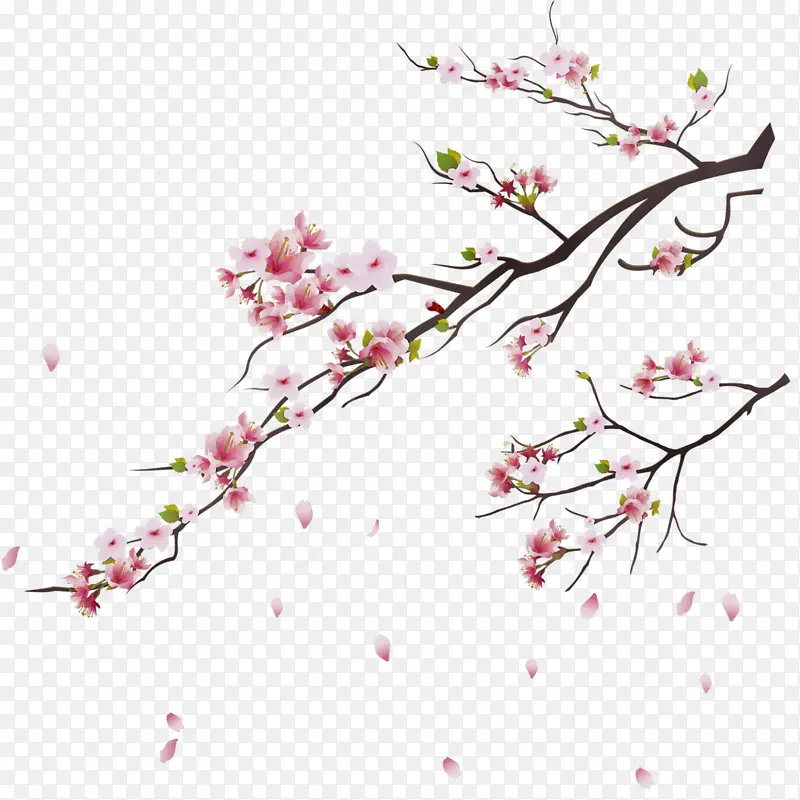 水彩画 颜料 湿墨