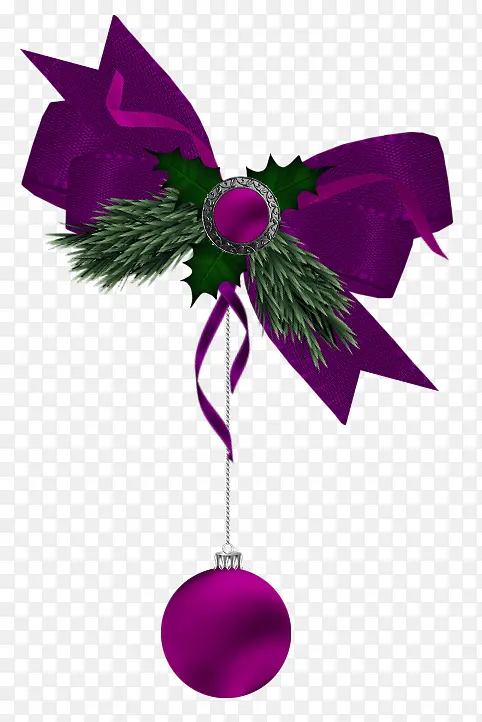 紫罗兰 圣诞树 圣诞花