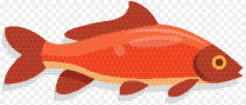 北方红鲷 生物学 鱼类