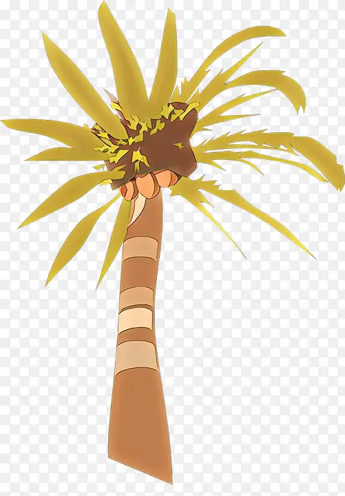 卡通 棕榈树 椰子