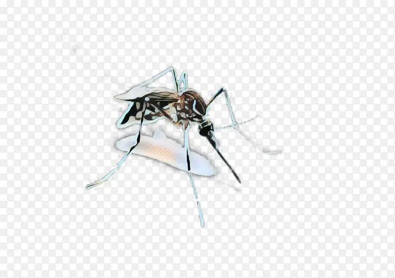 波普艺术 复古 蚊子