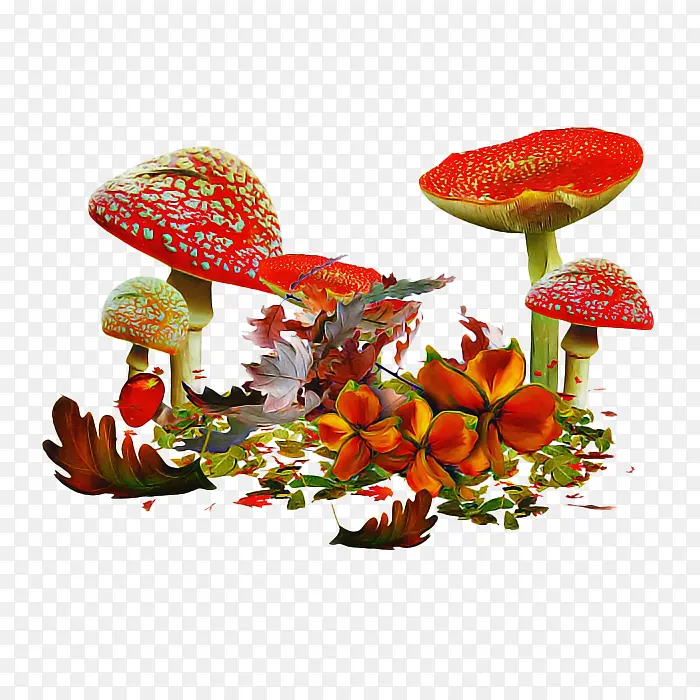 花卉设计 蘑菇 木耳