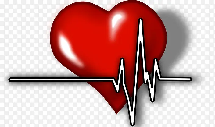 心电图学 心脏病学 心脏病