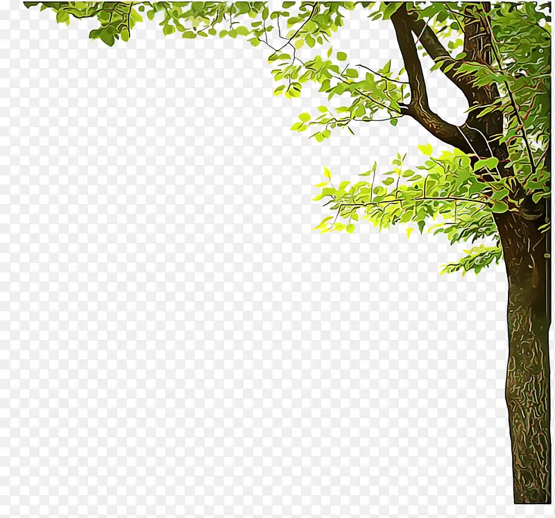 边框和框架 树木 树枝