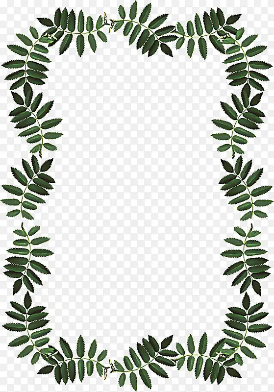 画框 植物茎 叶