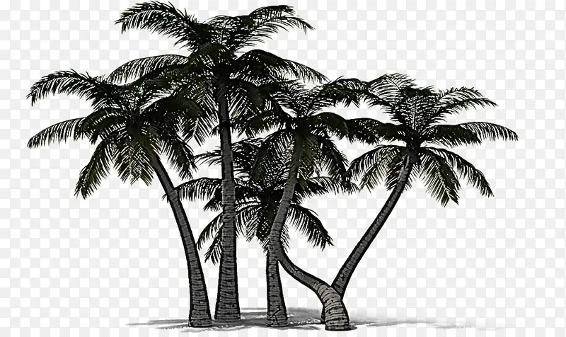 树 棕榈树 椰子
