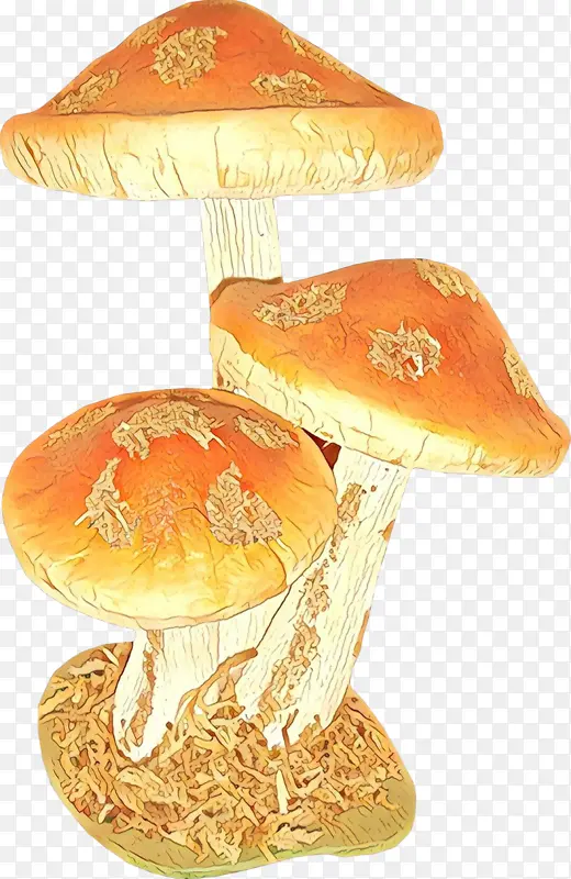 卡通 药用蘑菇 蘑菇