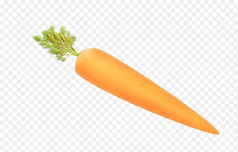 卡通 胡萝卜 蔬菜