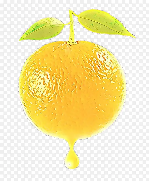 卡通 柑橘 柠檬