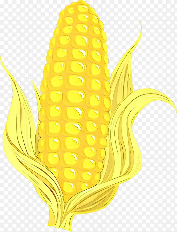 卡通 玉米棒 玉米