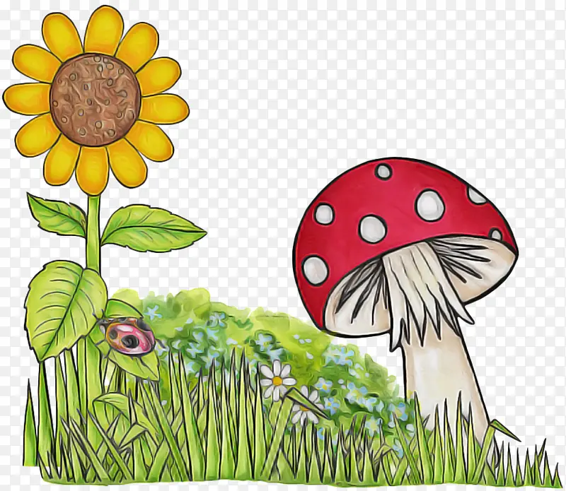 蘑菇 卡通 植物