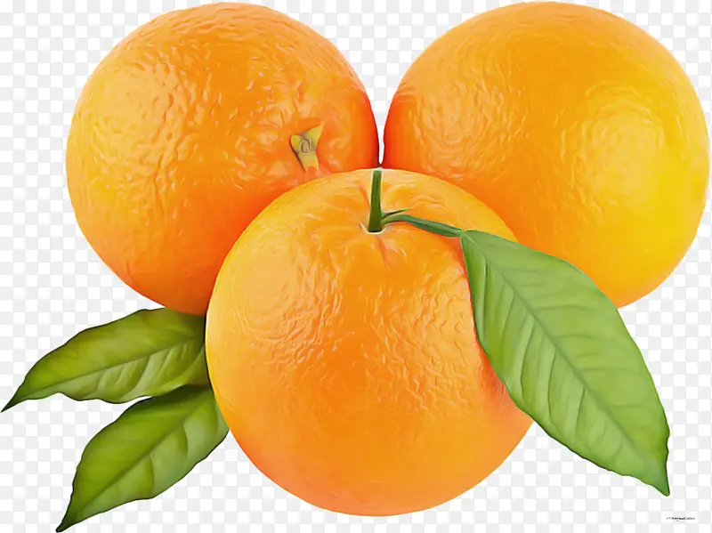 水果 柑橘 食品