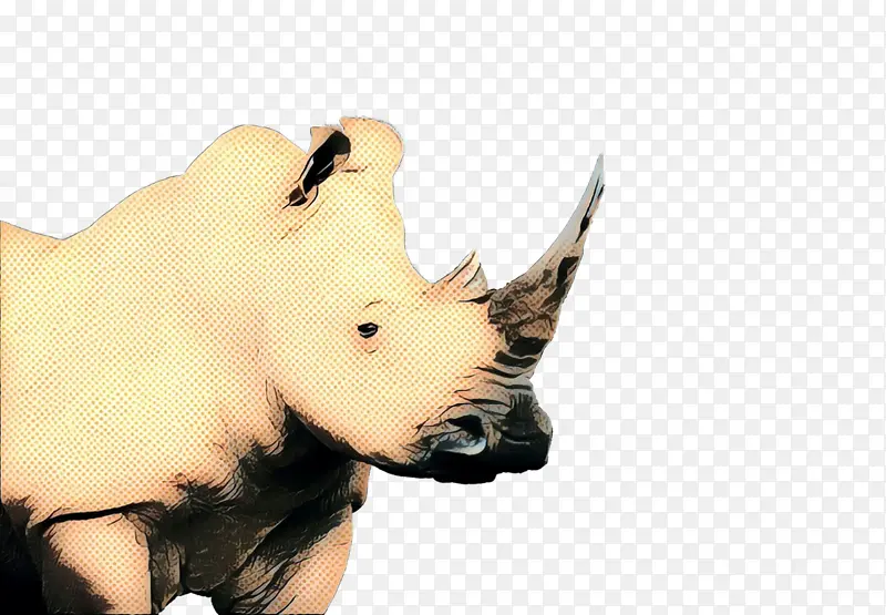 波普艺术 复古 犀牛