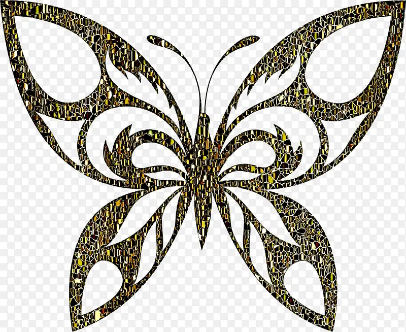 蝴蝶 飞蛾和蝴蝶 对称性
