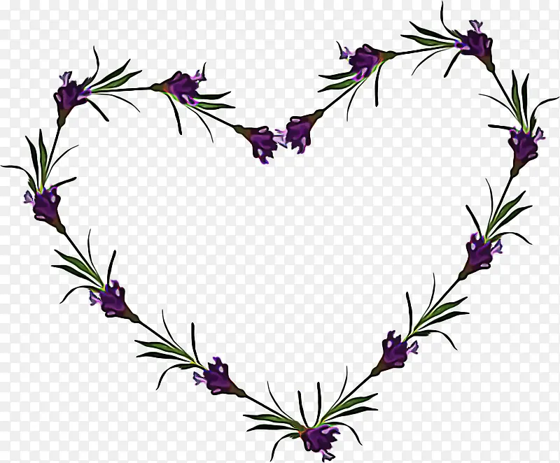 花 植物 紫罗兰