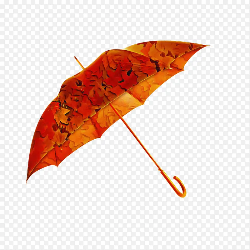 雨伞 橙色 树叶