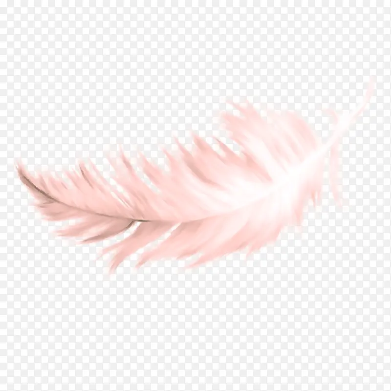 羽毛 白色 粉色