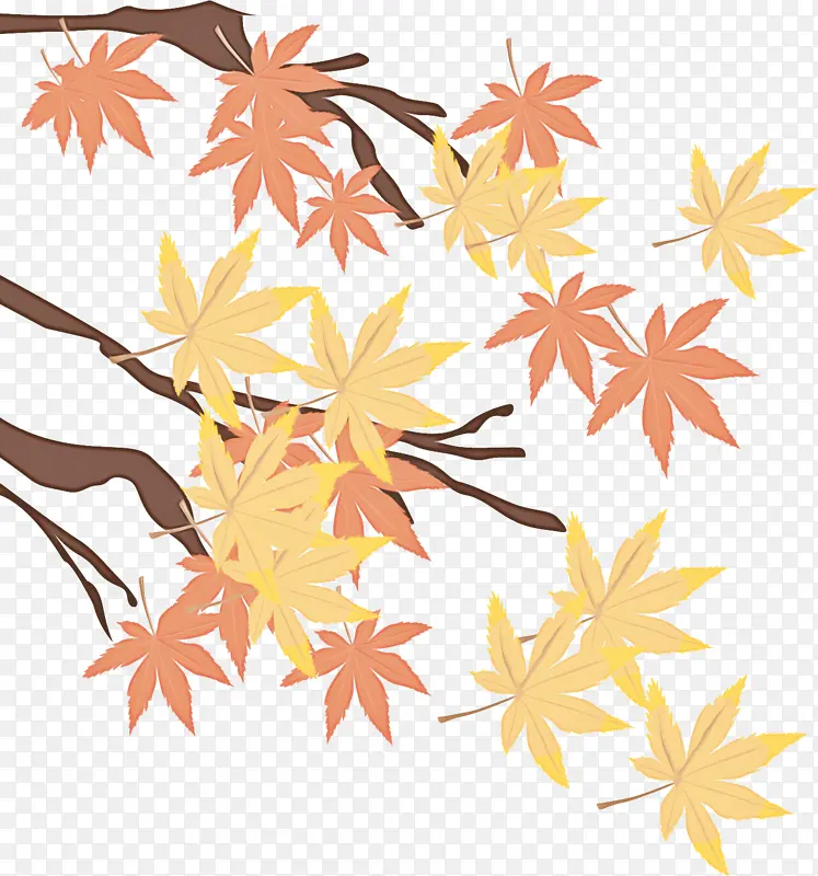 叶子 黄色 树木