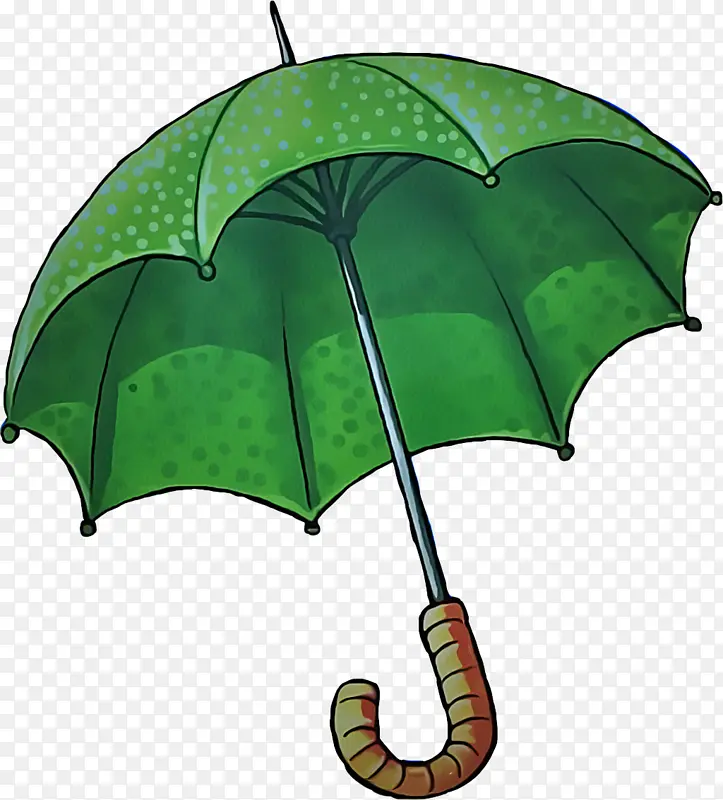 绿色 树叶 雨伞