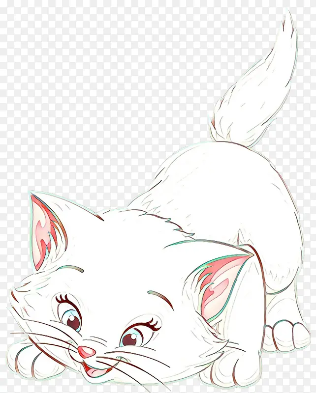 卡通 猫 白色