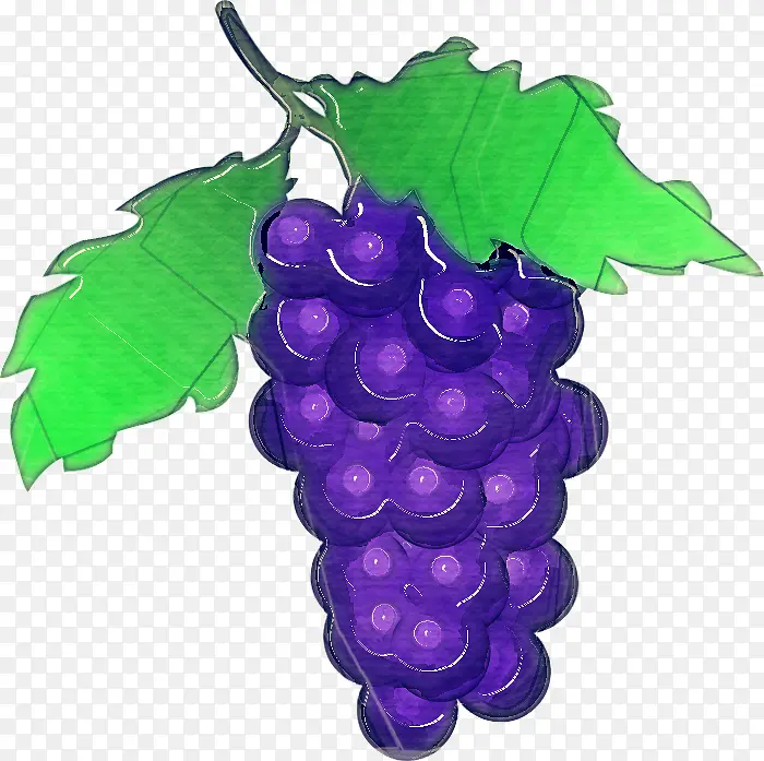 葡萄 葡萄叶 无籽水果