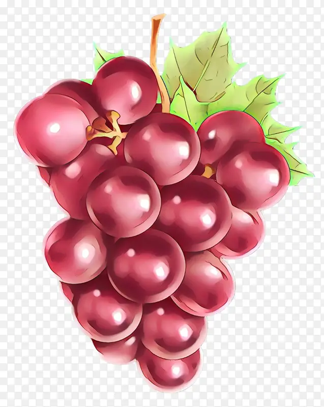 水果 植物 葡萄
