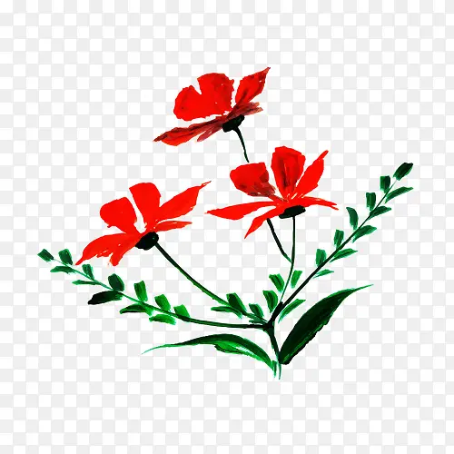 花 开花植物 红色