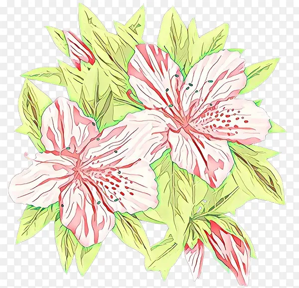 卡通 花卉 夏威夷木槿