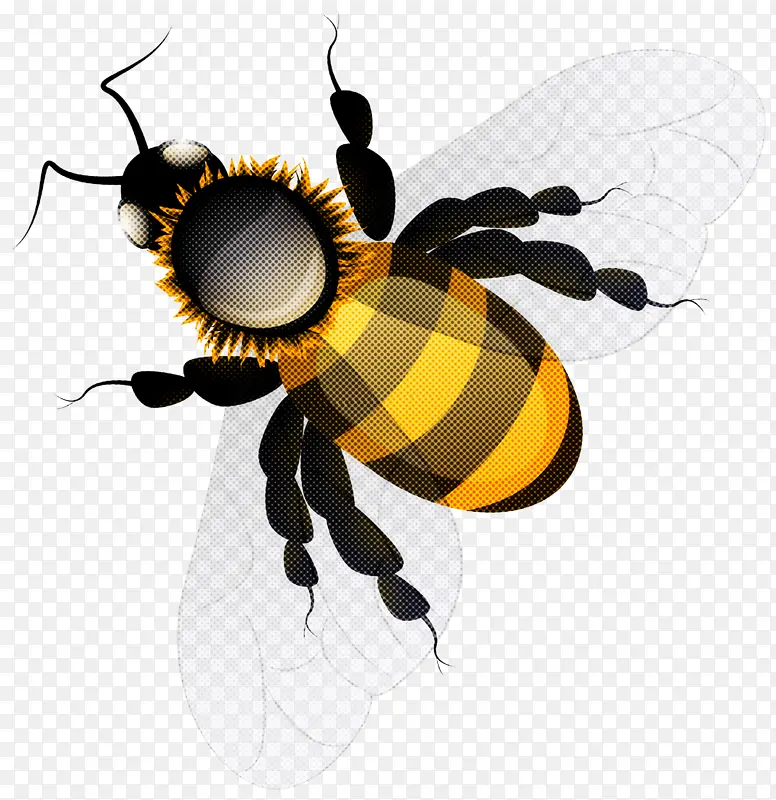 昆虫 蜜蜂 大黄蜂
