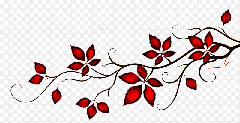 红色 树枝 植物