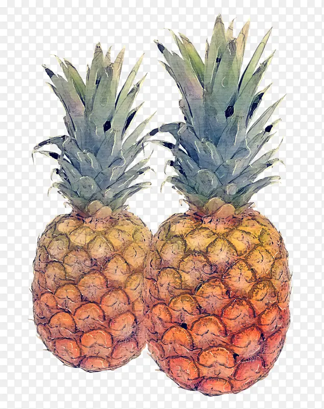 菠萝 水果 天然食品