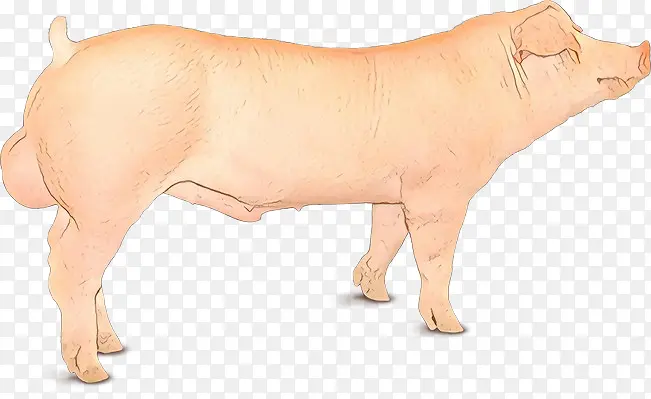卡通 动物形象 牲畜