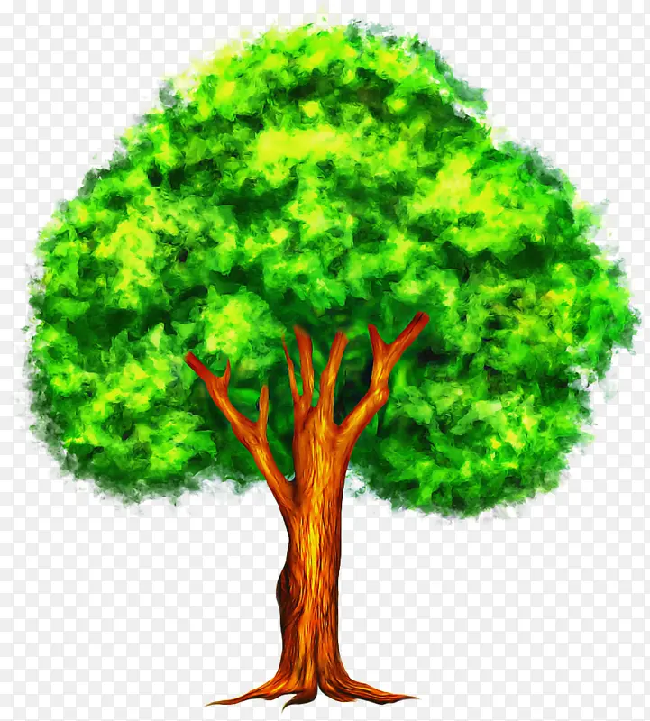 树 绿色 植物