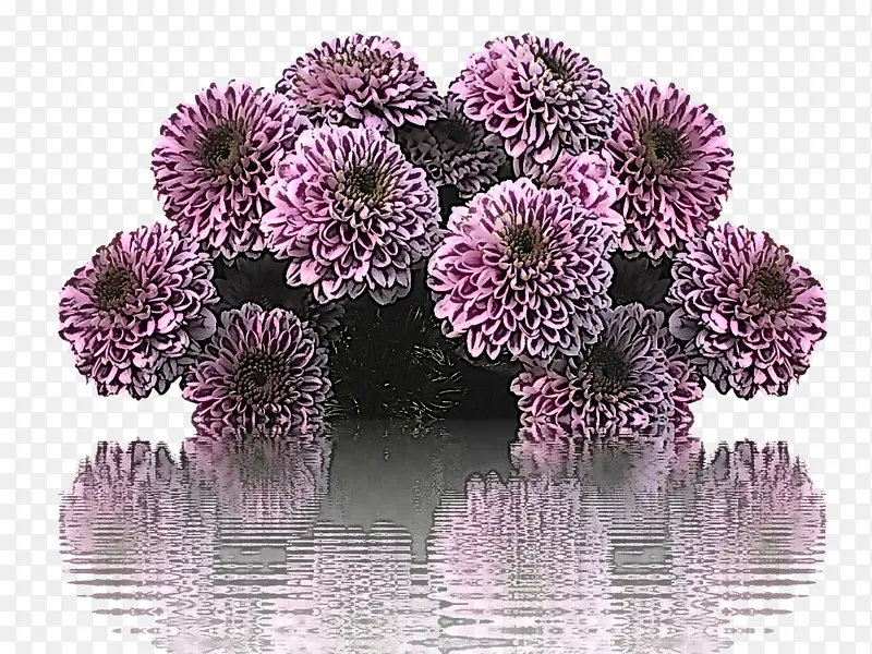 花 紫色 植物