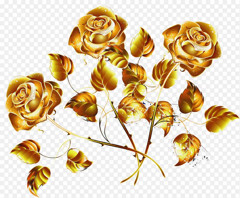 玫瑰 黄色 花朵