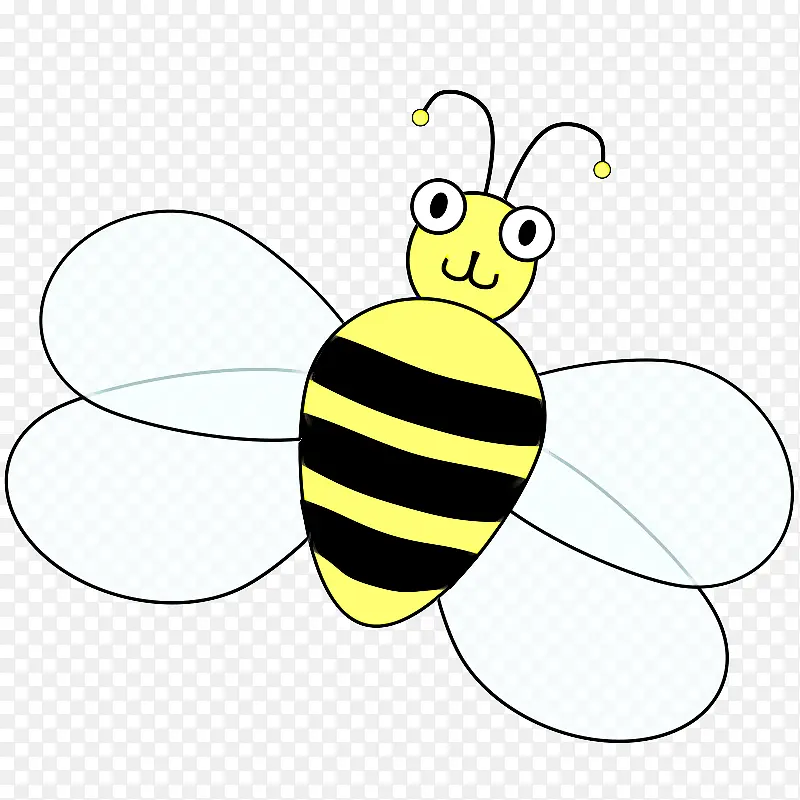 蜜蜂 昆虫 膜状昆虫