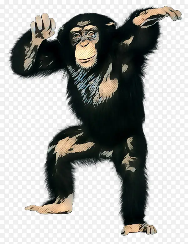 波普艺术 复古 普通黑猩猩
