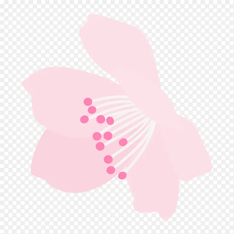 粉色 蝴蝶 花瓣