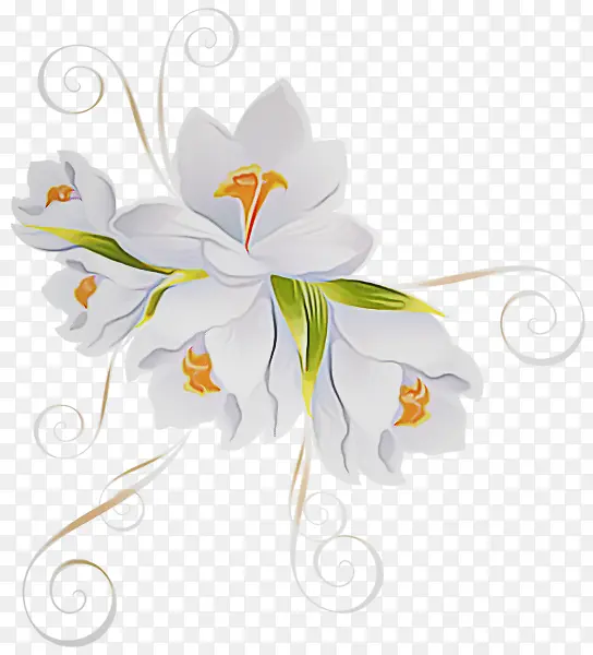开花植物 白色 花