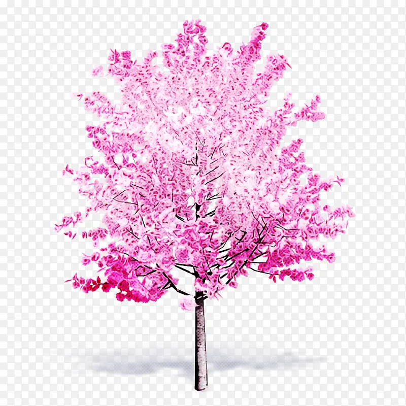 粉色 树 红色的芽