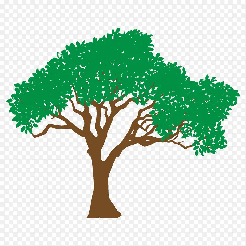 树木 绿色 植树节