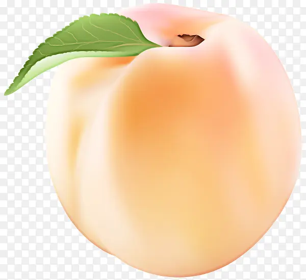 桃子 水果 植物