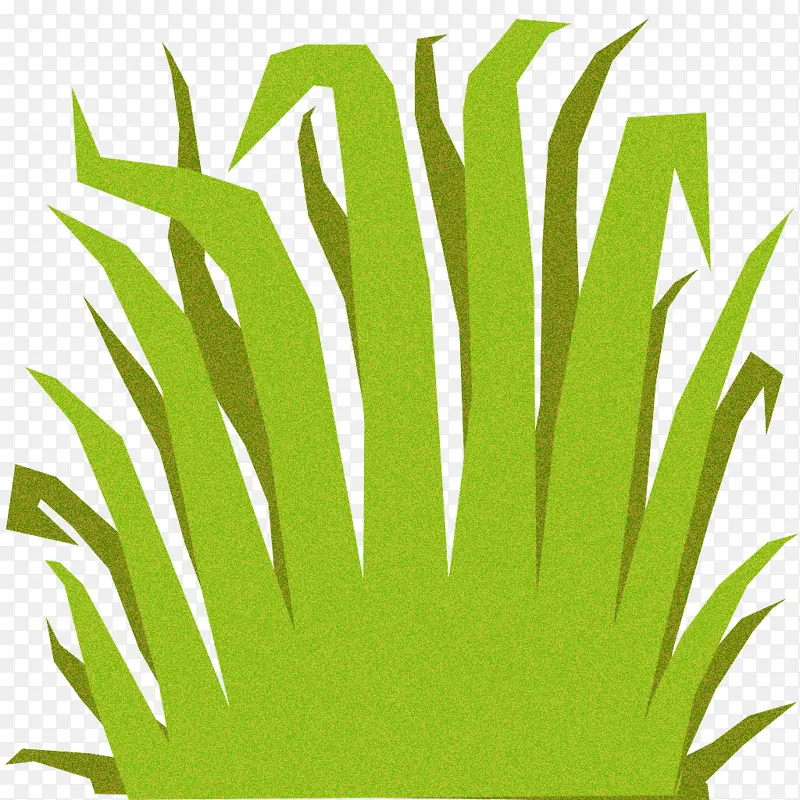 绿色 草 植物