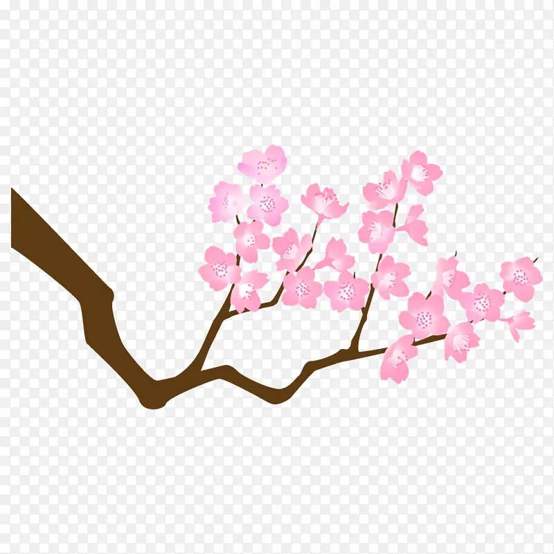 树枝 花朵 粉色