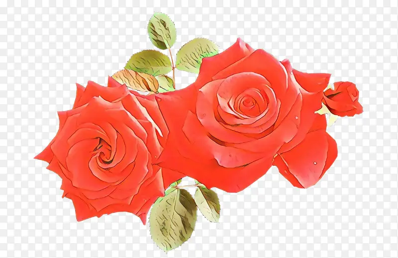 卡通 花园玫瑰 红色