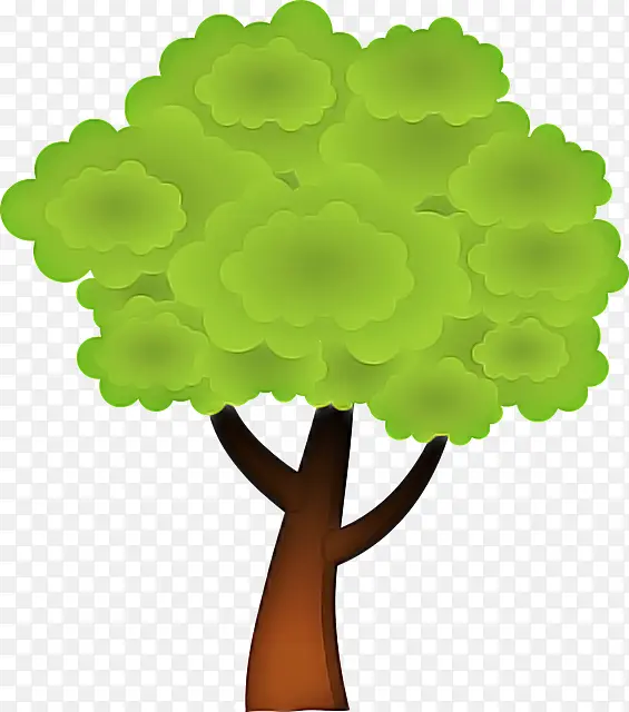 绿色 树 植物